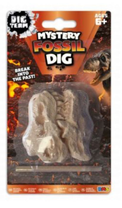 Mystery Fossil Dig