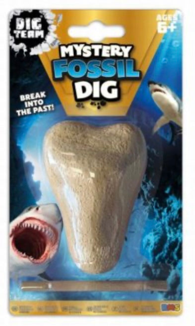 Mystery Fossil Dig
