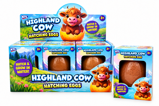 Large Growing Highland Cow